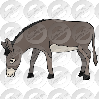Donkey