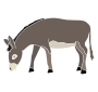 Donkey