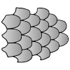 Scales