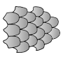 Scales