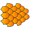 Fish Scales