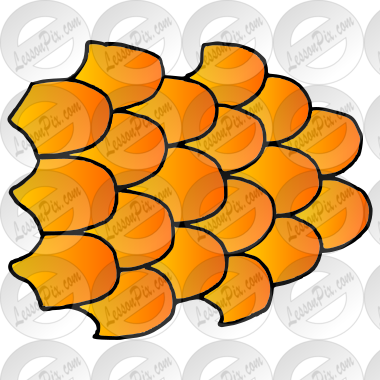 Fish Scales