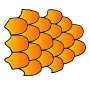 Fish Scales