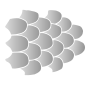 Scales