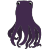 Octopus Picture