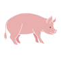 Pig Stencil