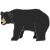 black bear