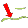 Longer