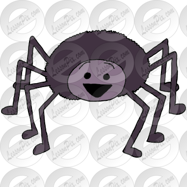 Excited Spider