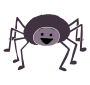 Excited Spider