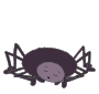 Sleepy Spider