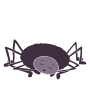 Sleepy Spider