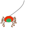 Spider Web