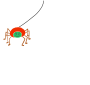 Spider Web