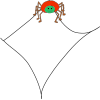 Spider Web