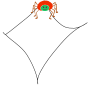 Spider Web