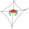 Spider Web
