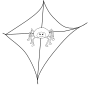 Spider Web