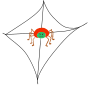 Spider Web