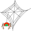 Spider Web