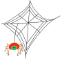 Spider Web