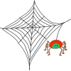 Spider Web