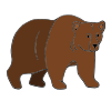 Grizzly Bear Picture