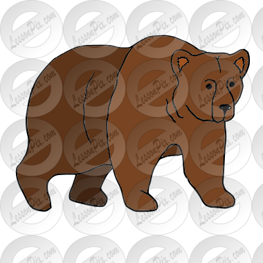 Grizzly Bear