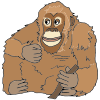 Where+did+Orangutan+live_ Picture