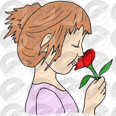 Smell a Rose