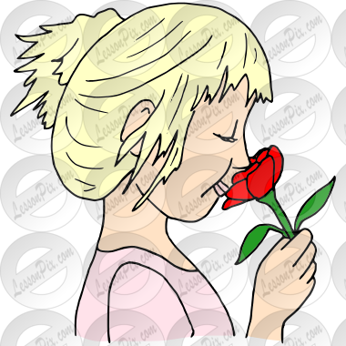 Smell a Rose