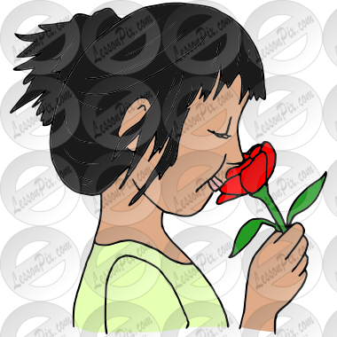 Smell a Rose