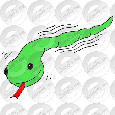Vibrating Snake
