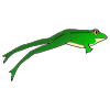 Jumping Frog Picture