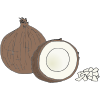 Coconut