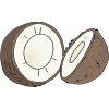 Coconut