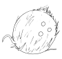 Coconut  Outline