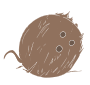 Coconut  Stencil