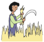 Harvest