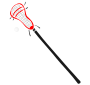 Lacrosse Stick