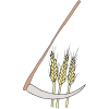 Harvest Wheat Picture