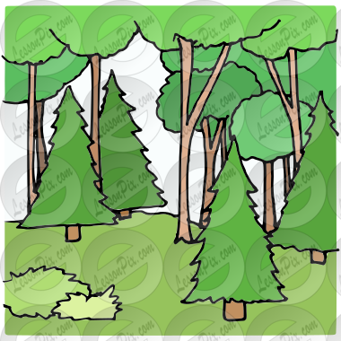 Woods