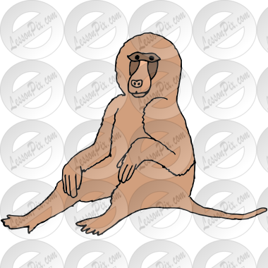 Baboon
