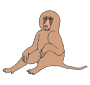 Baboon