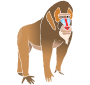 Baboon