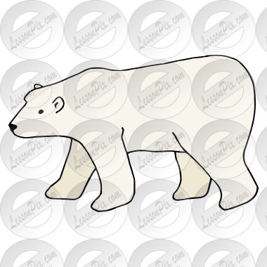 Polar Bear