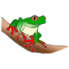 Tree Frog Picture