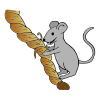 Mouse Nibbling Rope
