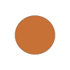 Brown Circle Picture