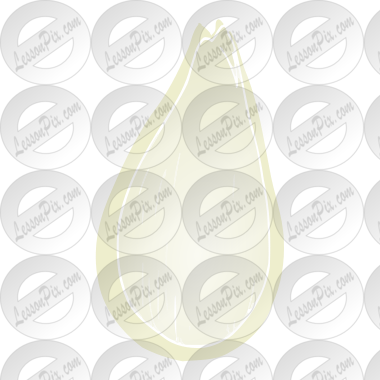 Pumpkin Seed